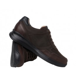 Ganter Harald darkbrown